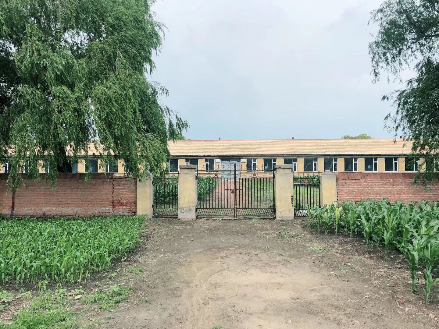 点击放大图片 我的母校.jpg