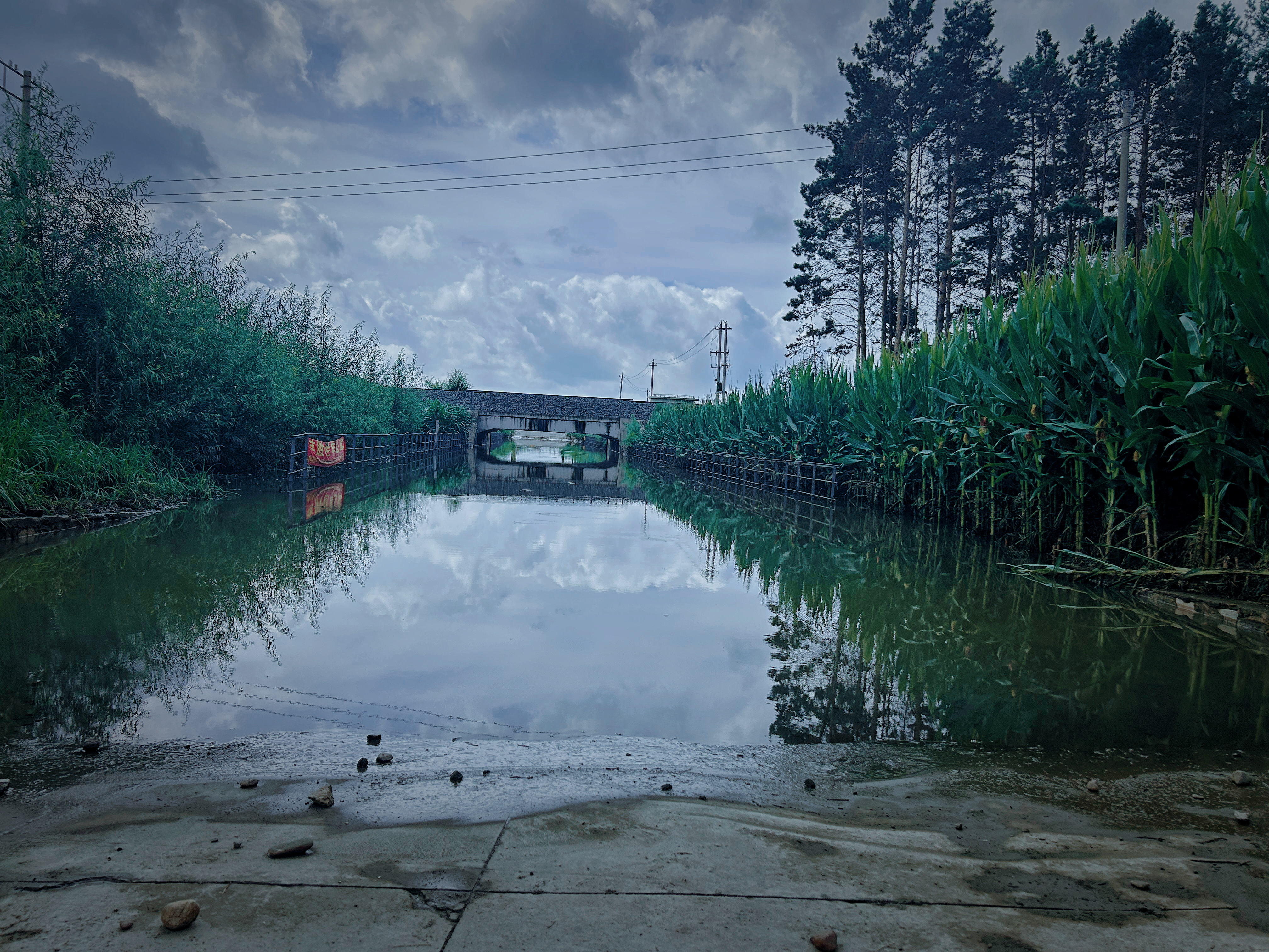 点击放大图片 IMG_5353.JPG