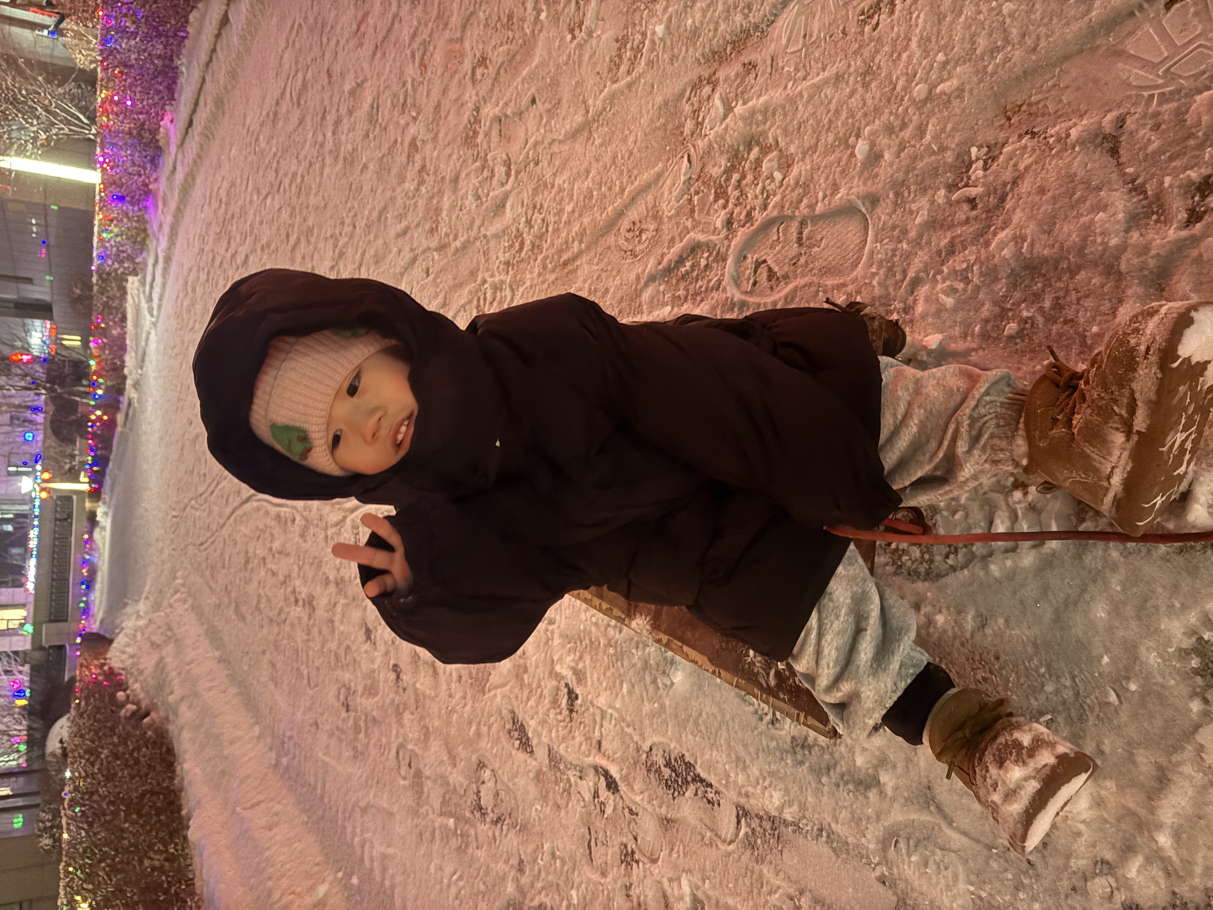 2023.3.3 (1).JPG 2023.3.3 (1).JPG