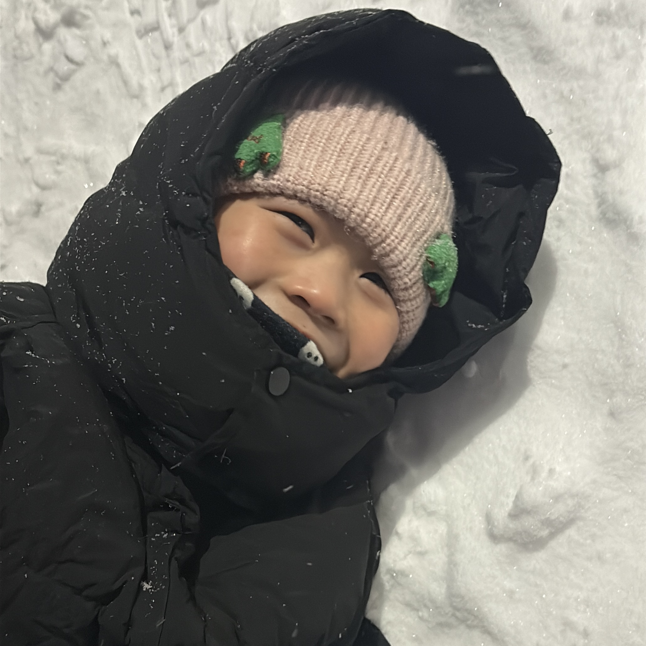 2023.3.3 (2).JPG 2023.3.3 (2).JPG