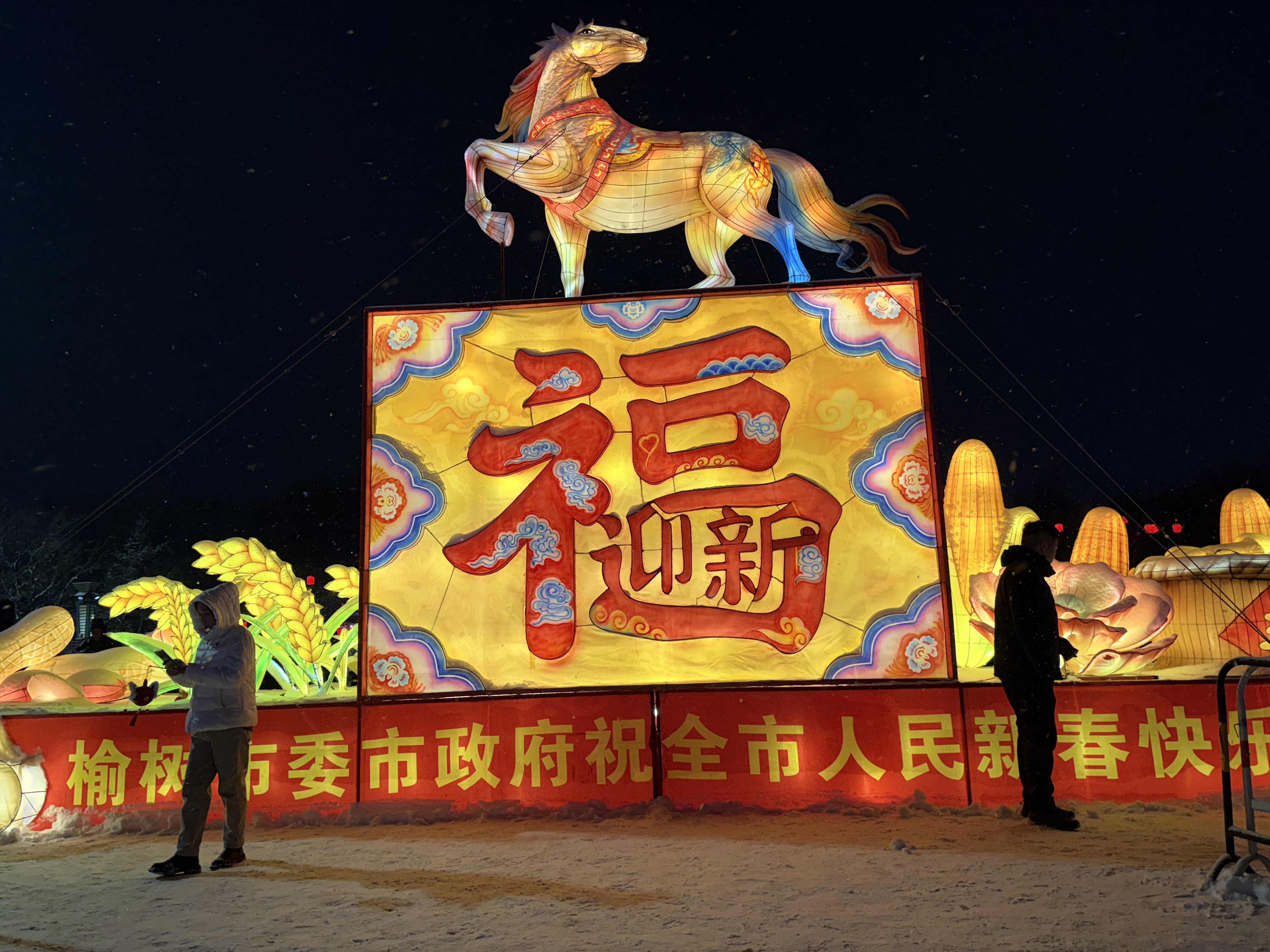 2023.3.3 (3).JPG 2023.3.3 (3).JPG